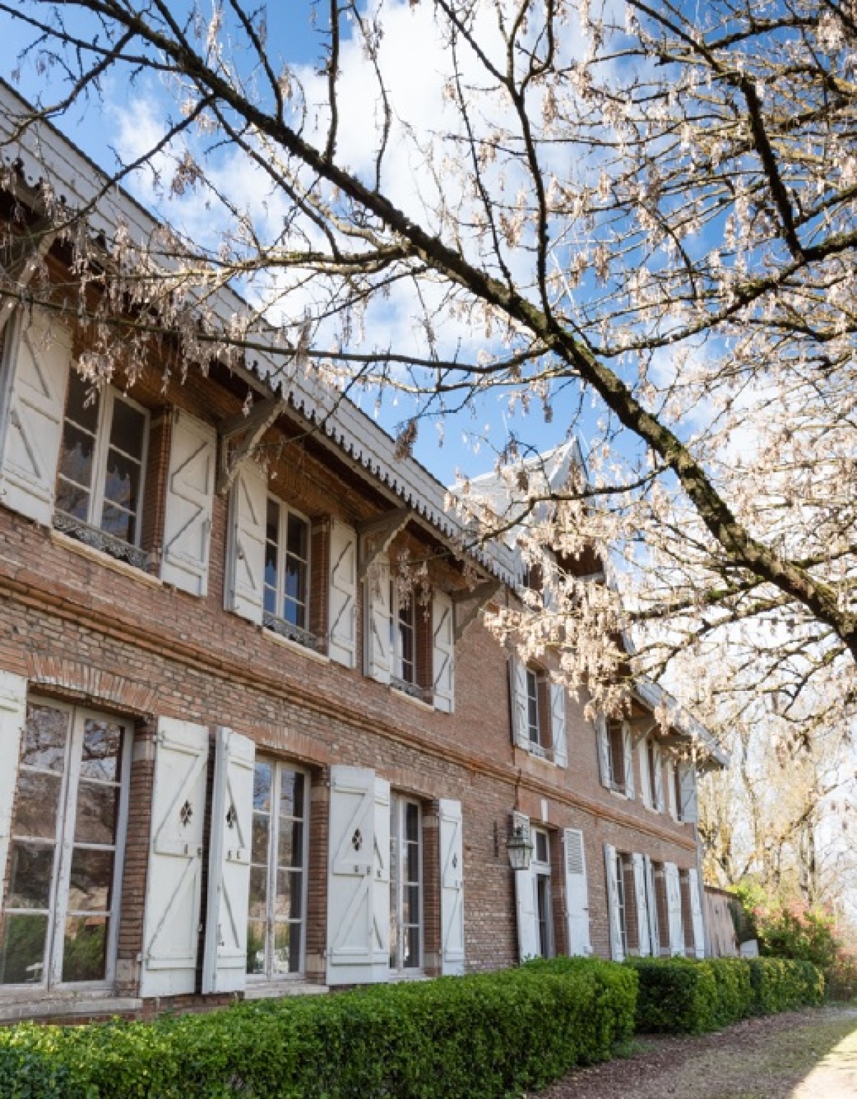 Programme neuf Chateau du Pin : Appartements neufs à Pin-Balma référence 5100, aperçu n°0