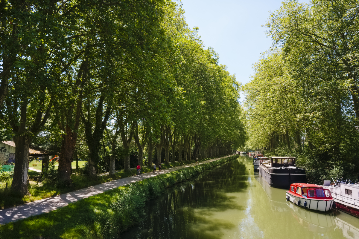 ilot de chaleur urbain toulouse — les abords du Canal du Midi à Toulouse