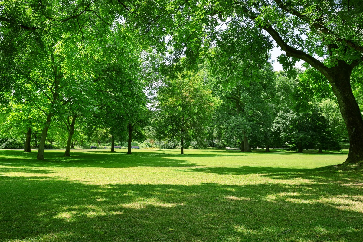 Toulouse + verte avec les jardins de Babylone | IMMO9
