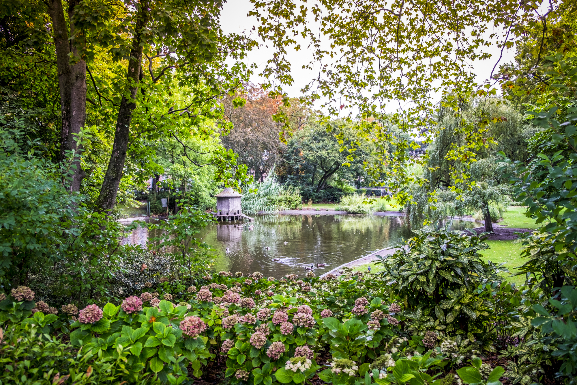 Le jardin Royal à Toulouse