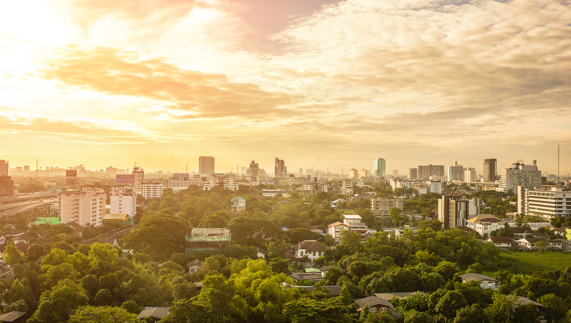 Vue panoramique d'une ville verdoyante