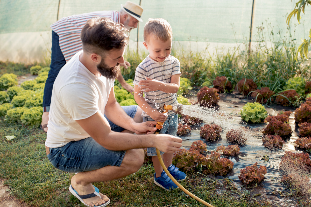 Maison neuve à Toulouse – Famille qui jardine au potager