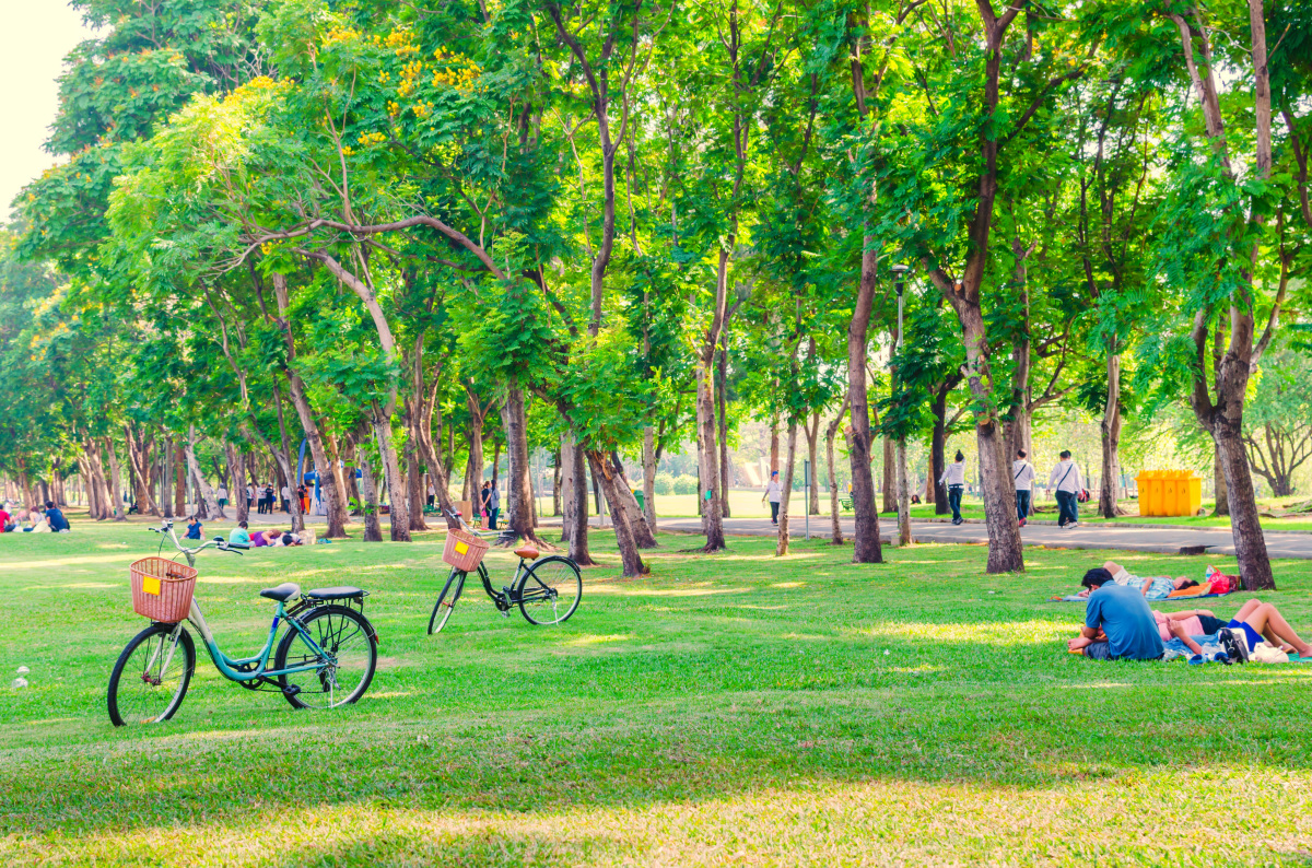 Parc arboré avec vélos et personnes se reposant