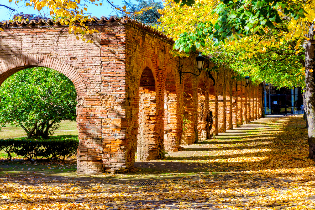 les toits de Toulouse au soleil