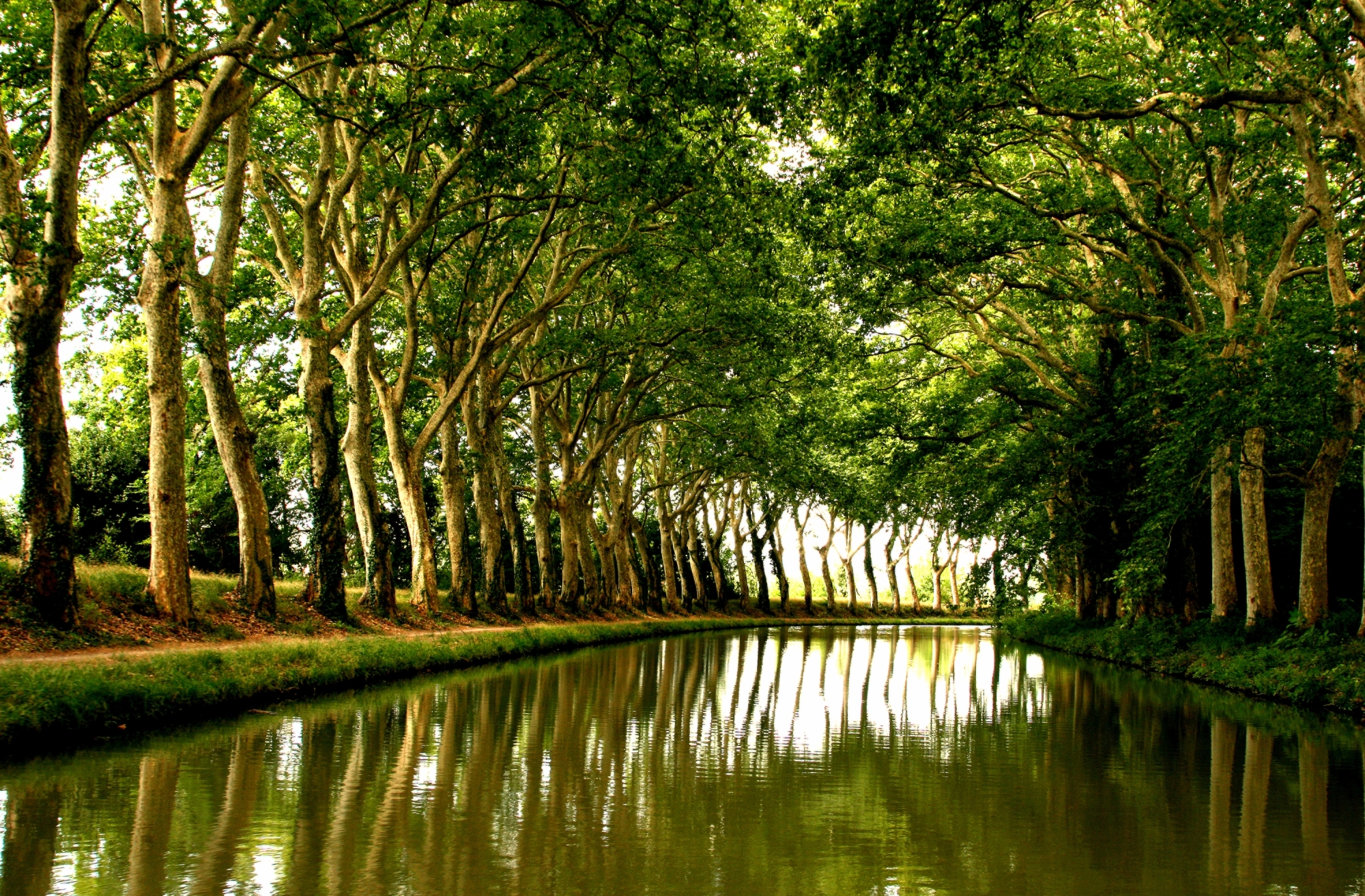 Vue du Canal du Midi avec le reflet du soleil