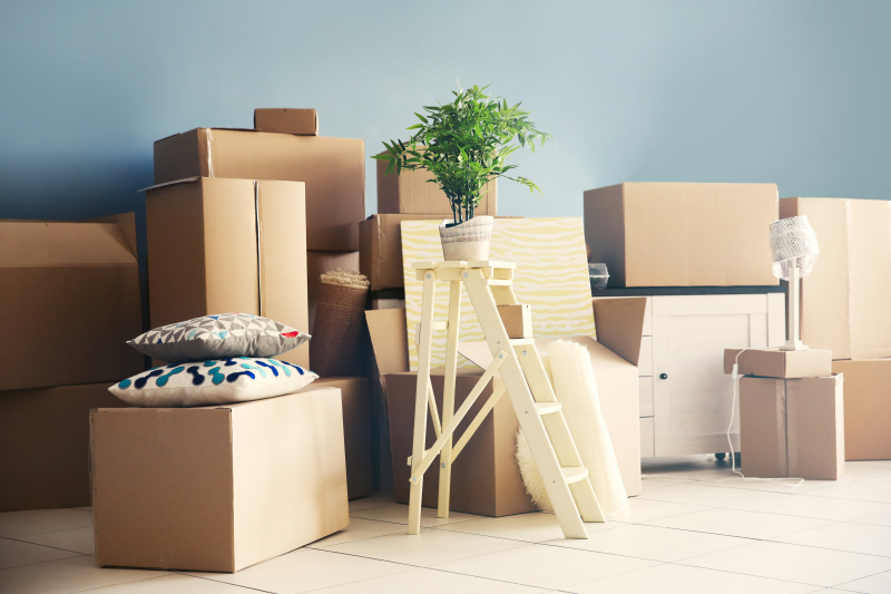 Assurer son logement étudiant - Cartons de déménagements et éléments de décoration dans le séjour