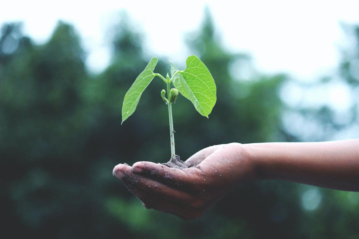 La métropole toulousaine a de grands projets pour le climat La ville de Toulouse est engagée dans la transition énergetique