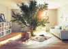 Arbre dans appartement