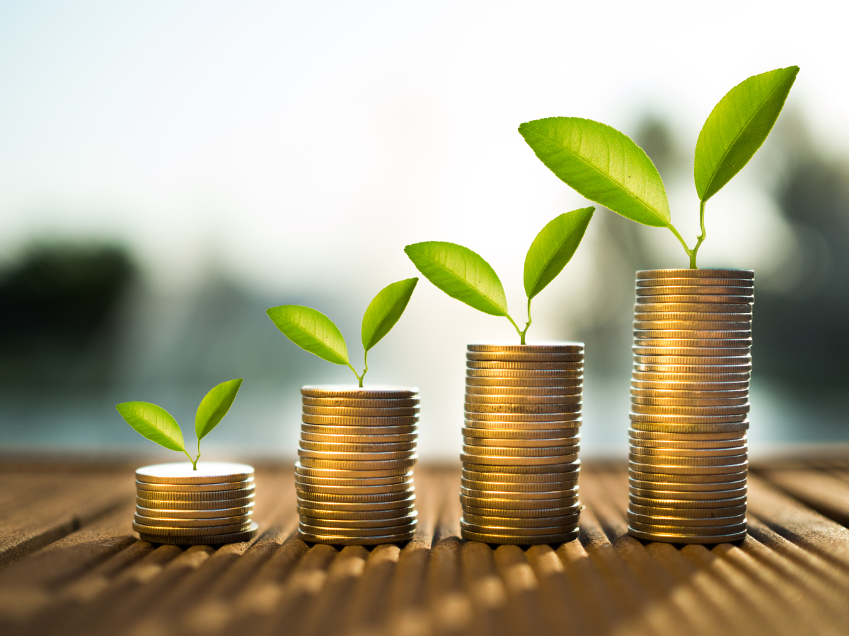 Pinel Plus 2023 : notre guide complet pour investir et défiscaliser