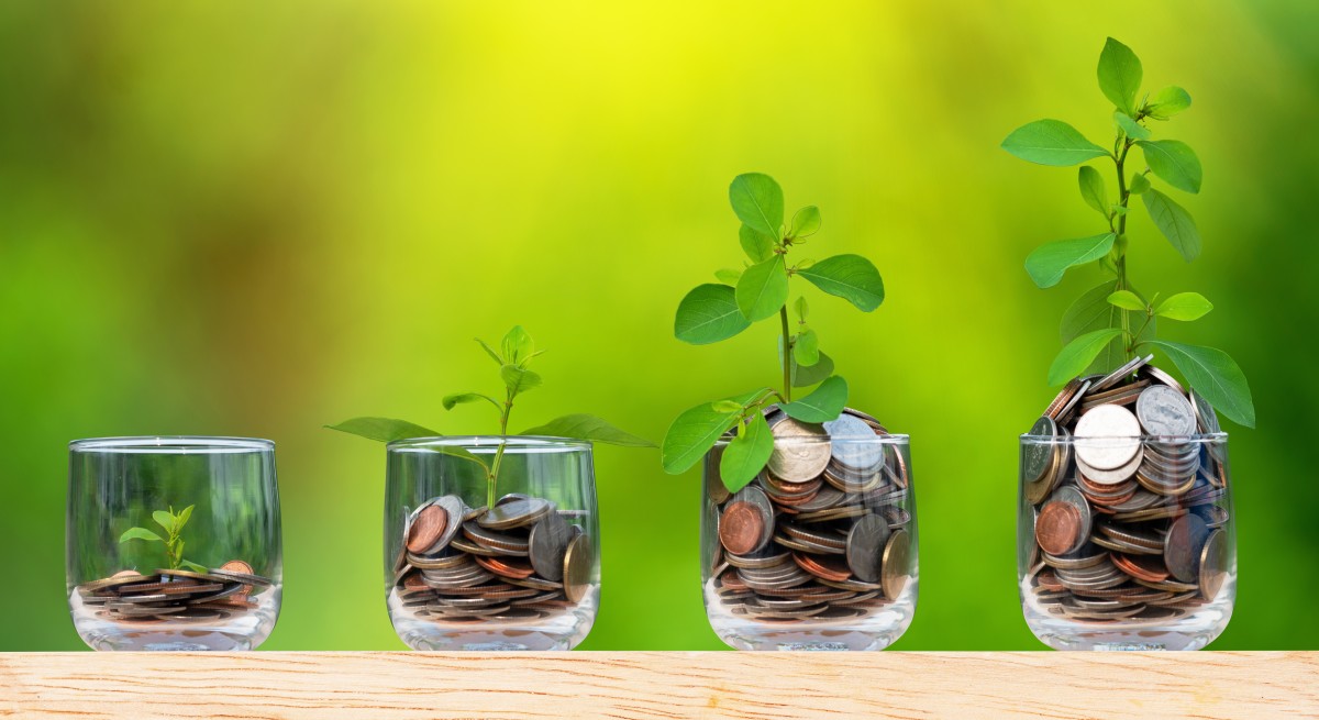 Loi Pinel Tournefeuille – Des petits verres remplis de pièces et de plantes