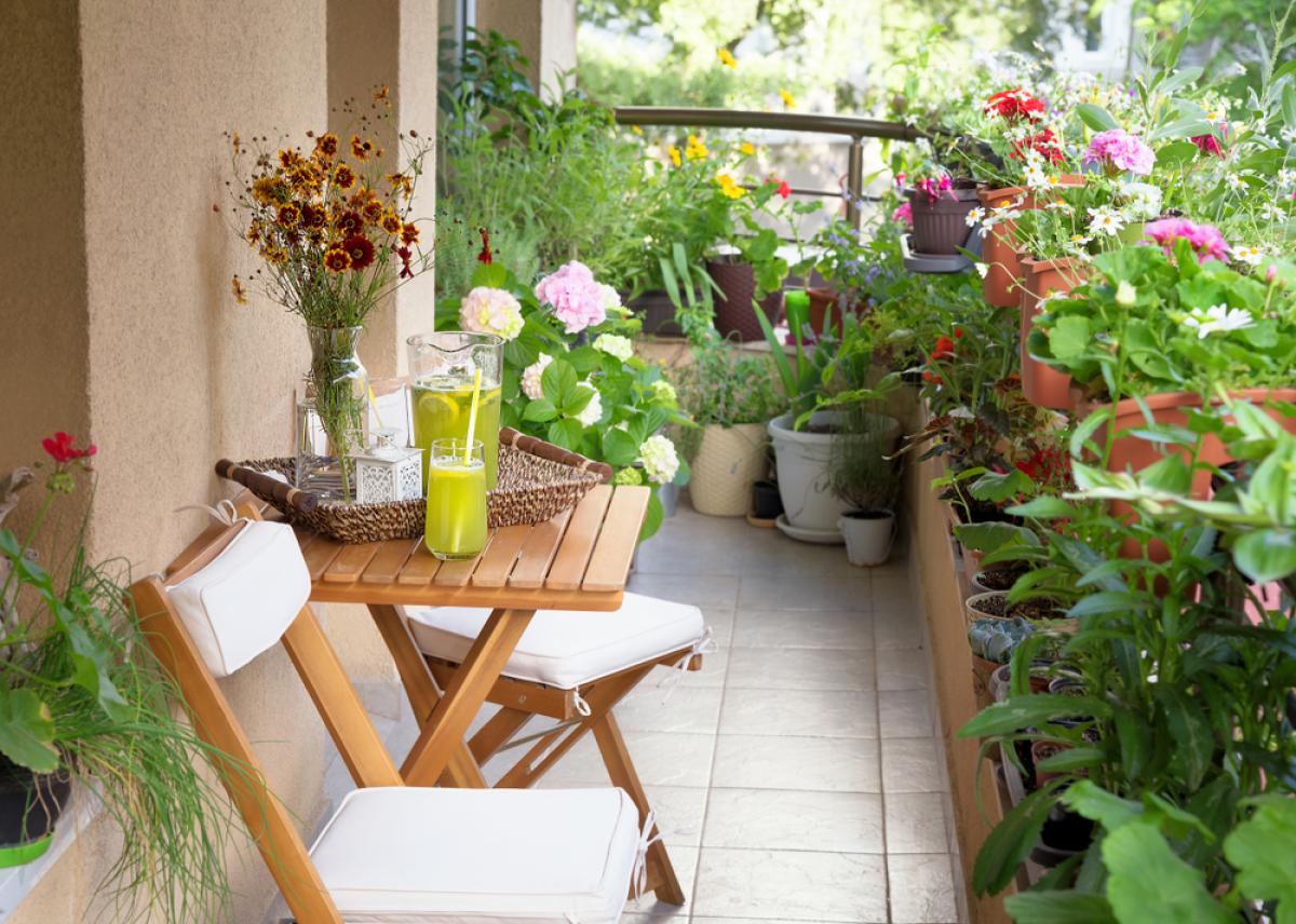 loi pinel 2023 – un balcon couvert de pots de fleurs et de verdure