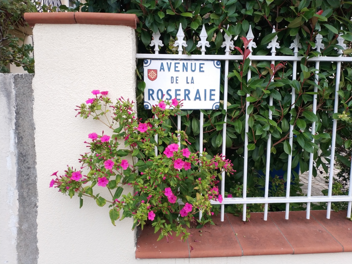Où investir à Toulouse en 2024 — Un panneau de rue indiquant “Avenue de la Roseraie”