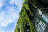 Immobilier durable – un programme neuf écologique