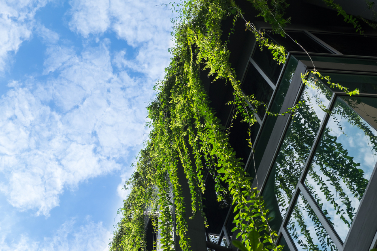 Carnet d’Information du Logement — Une façade d’immeuble neuf couverte de plantes grimpantes