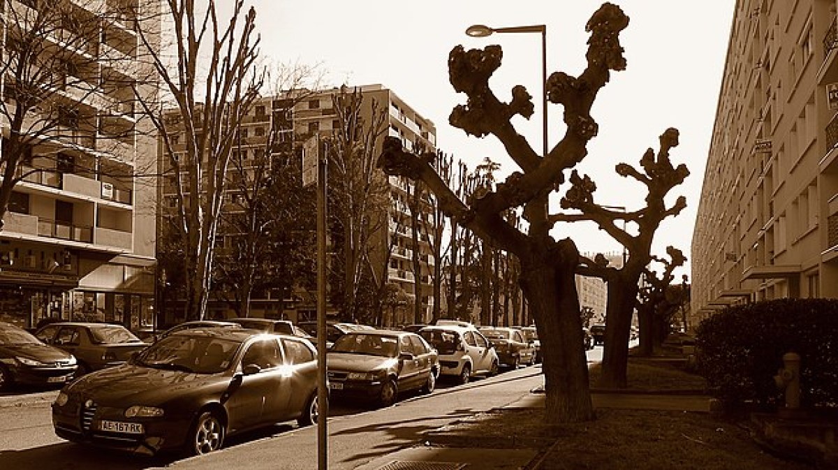 achat studio toulouse – La Rue Louis-Antoine de Bougainville à Rangueil