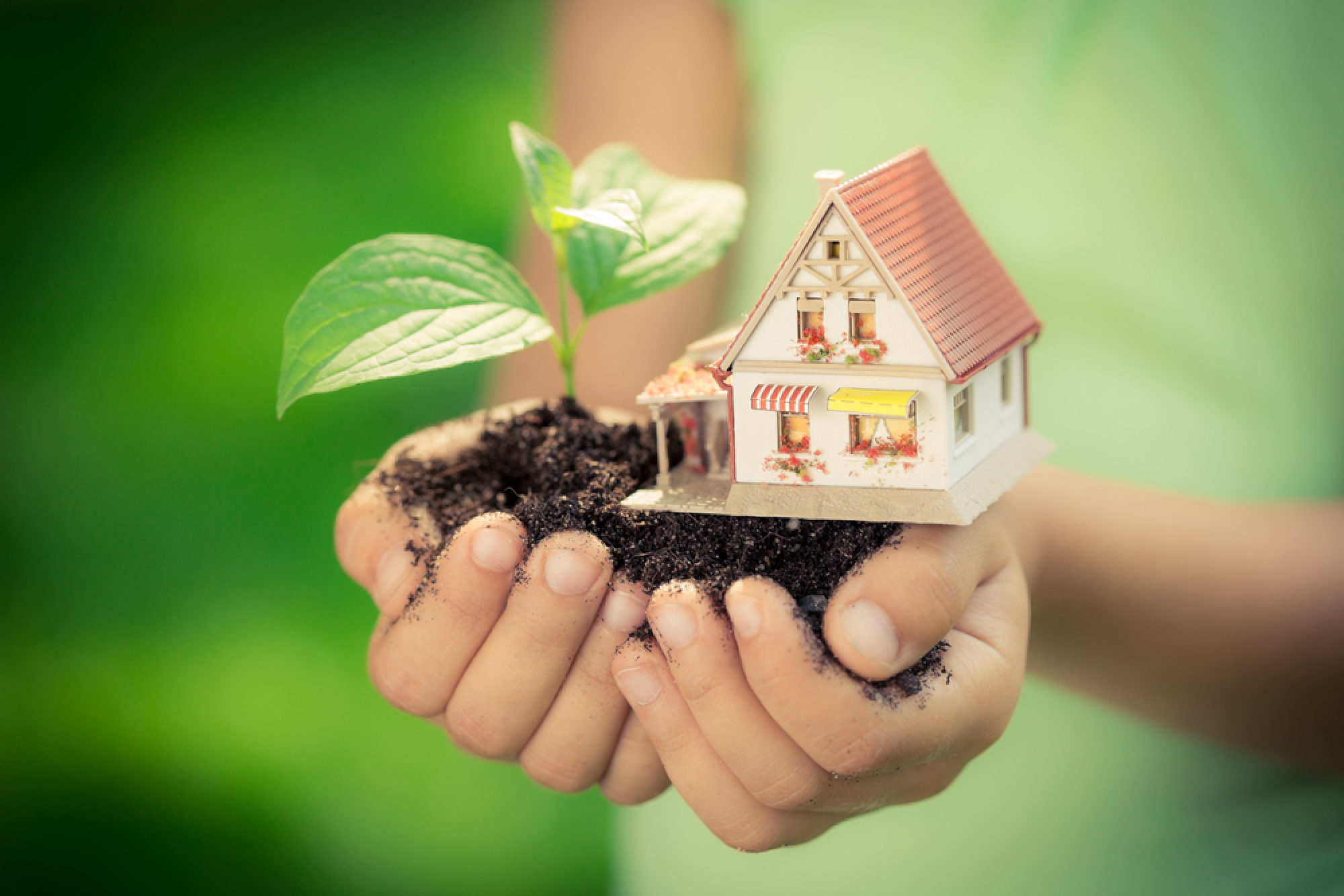 Une personne tient une maison miniature et une pousse de plante dans ses mains