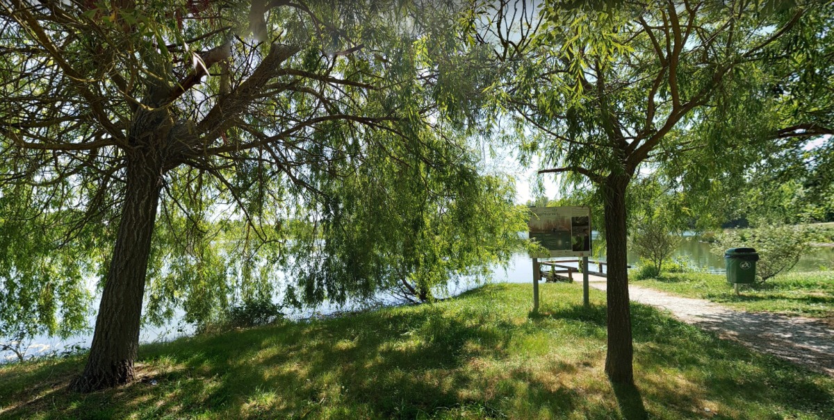 Pinel Roques –Vue du lac de Lamartine à Roques