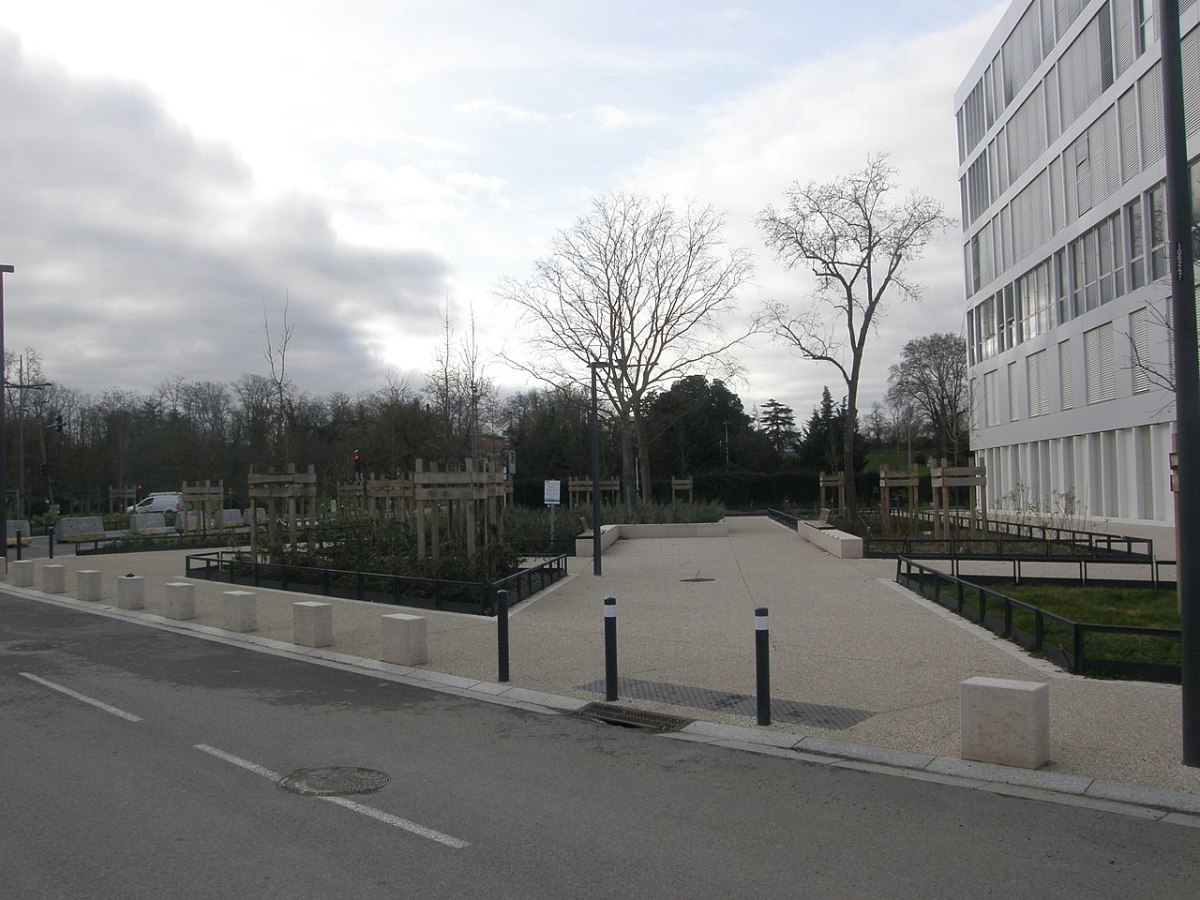 Écoquartier de la Cartoucherie – Des arbres à la Cartoucherie