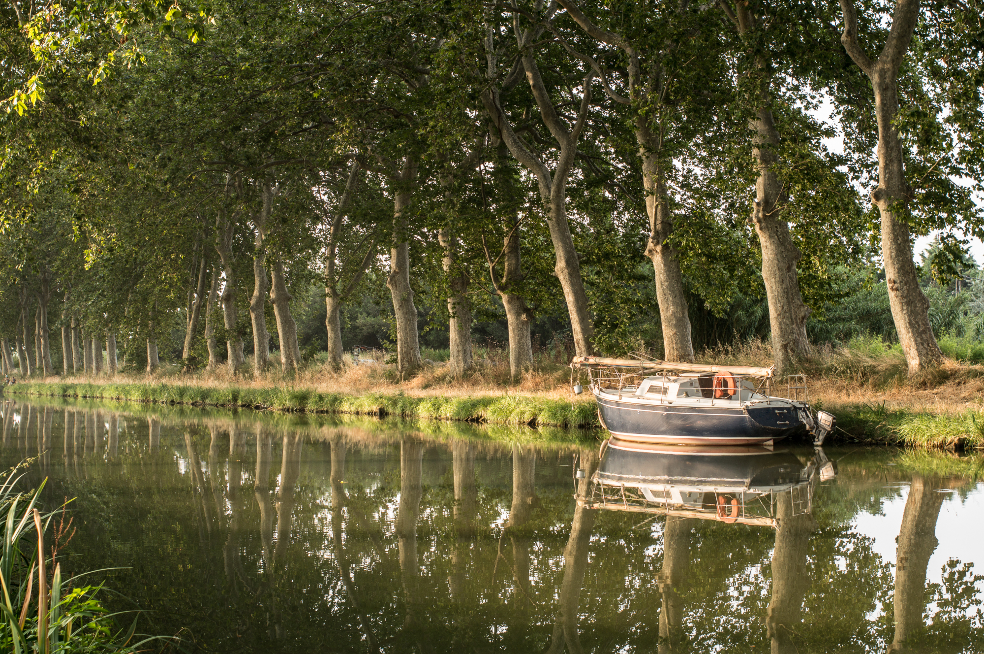 une péniche sur le Canal du Midi