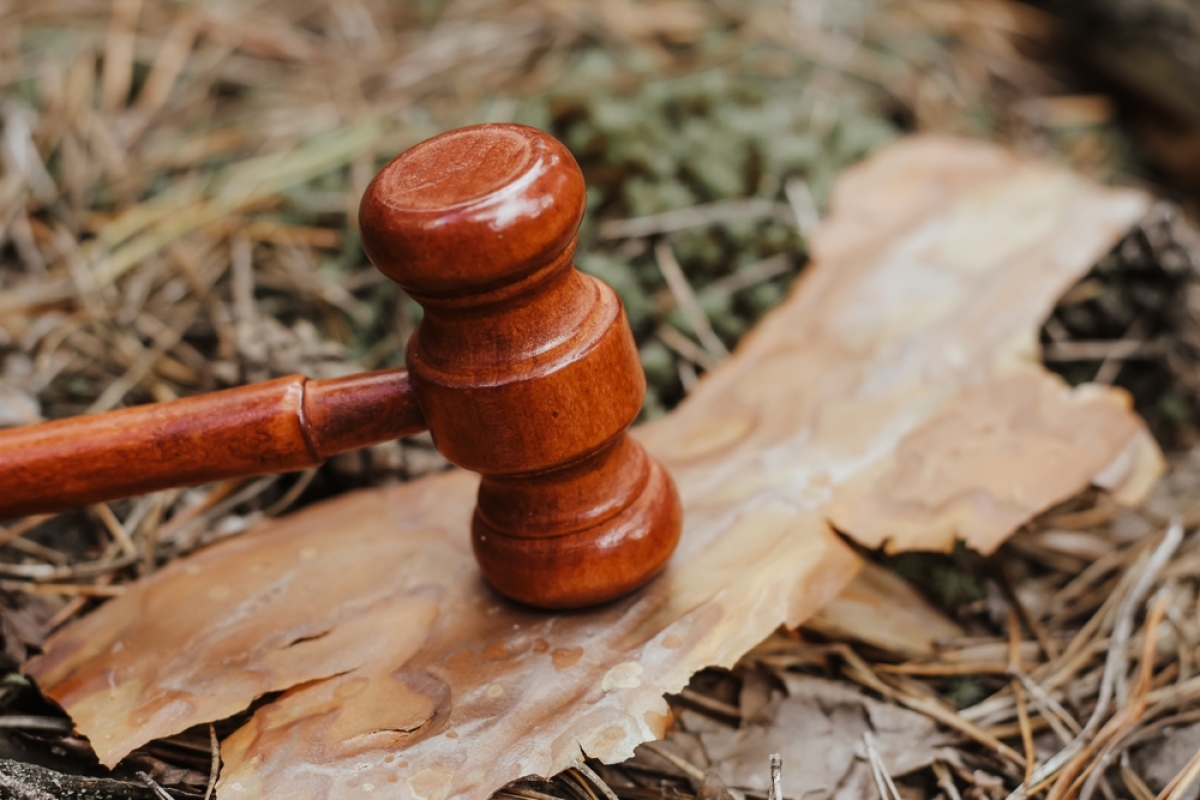 un marteau de juge sur une feuille morte et un tas de paille