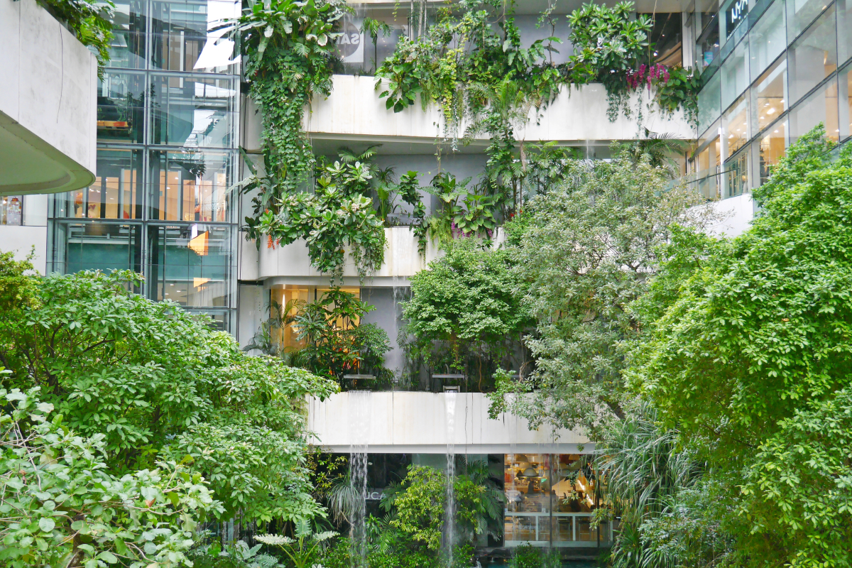 Comment rafraichir un appartement – Une résidence récente végétalisée