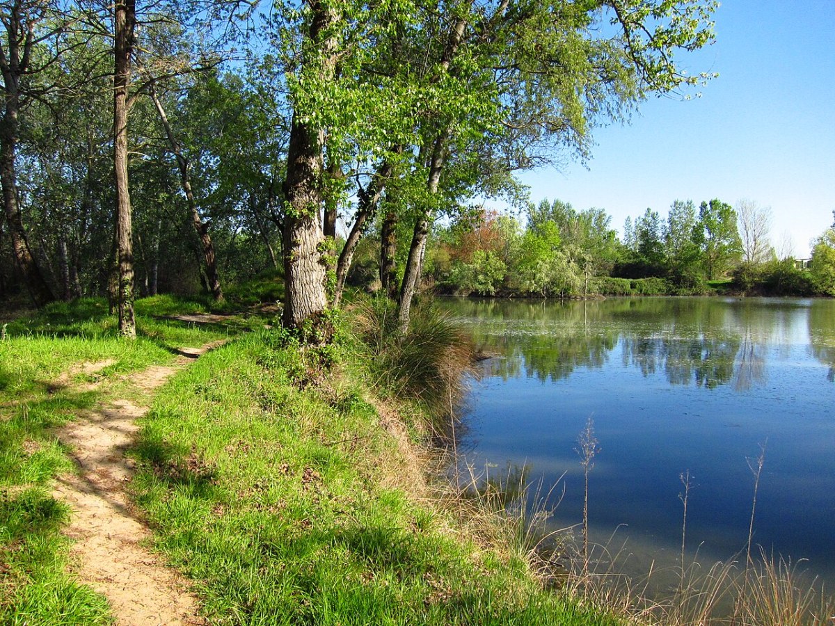 Ou investir en haute-garonne en 2023 – le lac des Quinze Sols à Blagnac