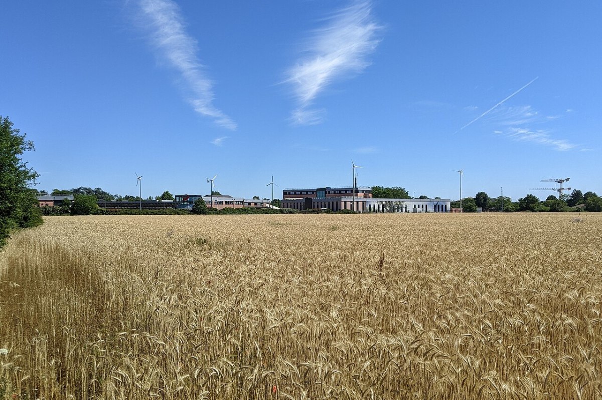 Paleficat Toulouse — Des champs, des entreprises et des grues de construction vues depuis le chemin de paleficat