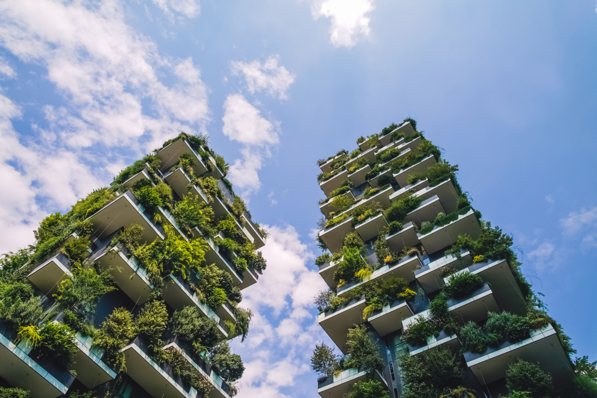Valeur verte : un levier de transformation de l'immobilier durable