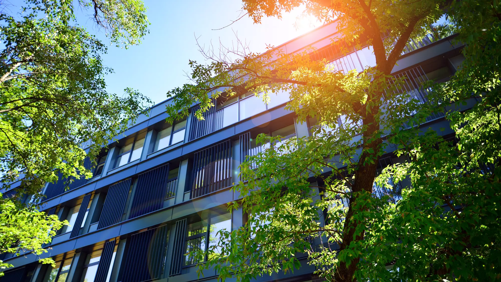 Un bâtiment de bureaux écologique en verre et bois