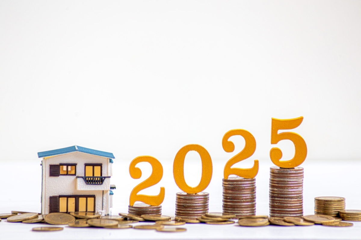 2025 avec maison miniature