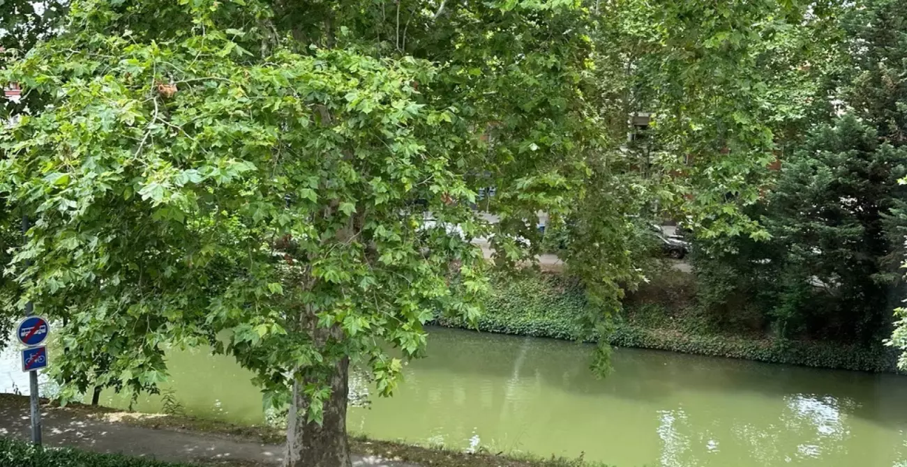 Programme Le Clos Paul Riquet à Jean Jaurès #7931 - aperçu n°11