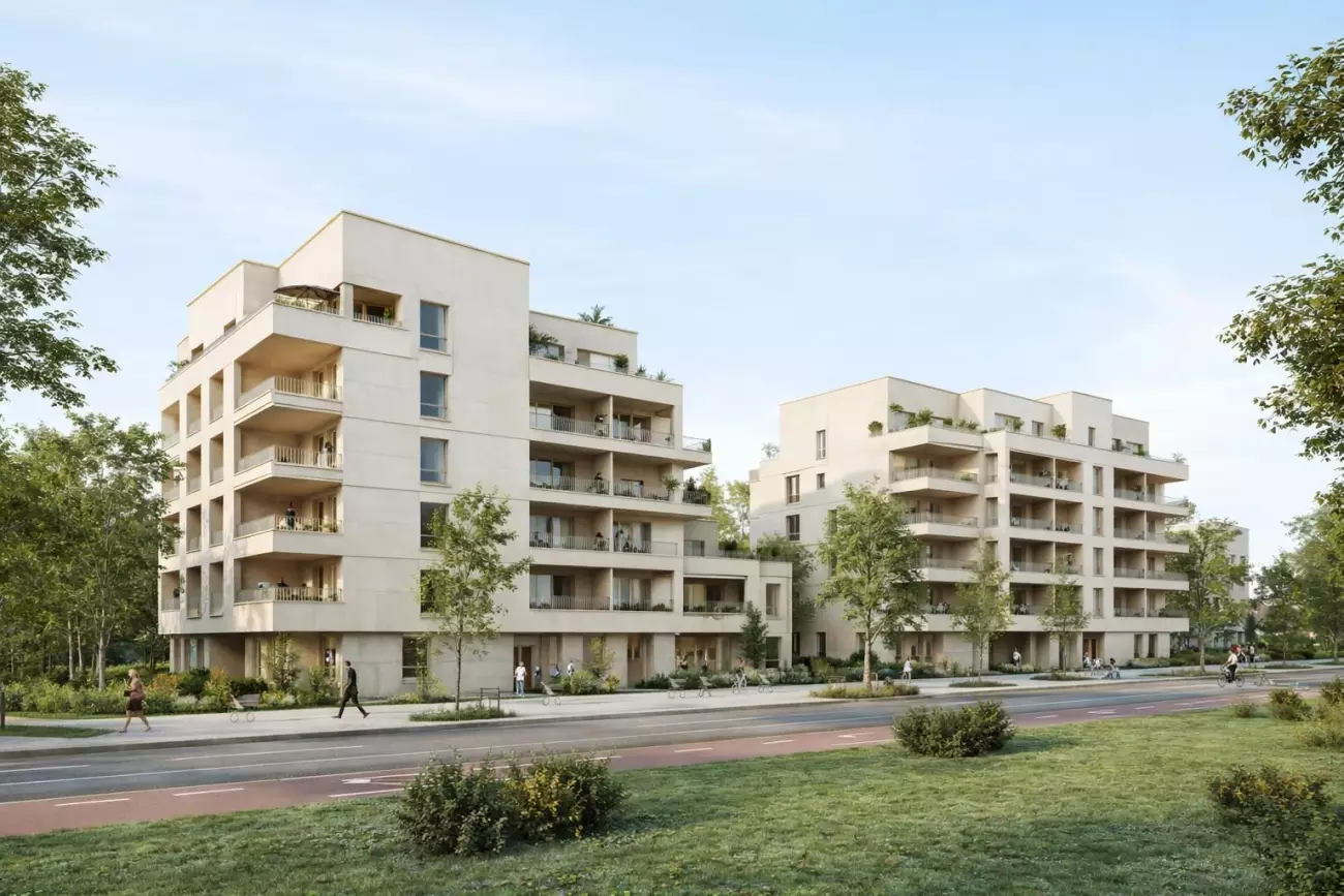 Programme Terre d'Envol à Saint-Martin-du-Touch #8023 - aperçu n°6