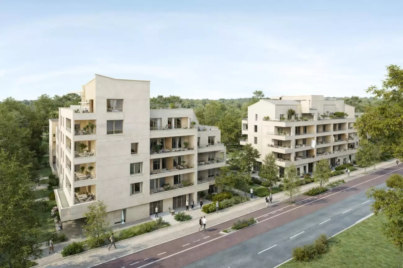 Programme Terre d'Envol à Saint-Martin-du-Touch #8023 - aperçu n°7