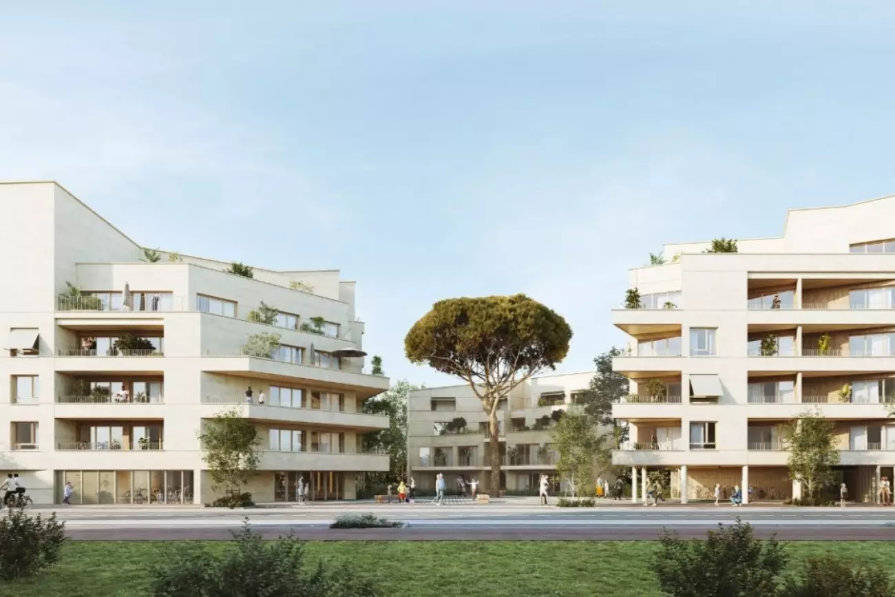 Programme Terre d'Envol à Saint-Martin-du-Touch #8023 - aperçu n°12