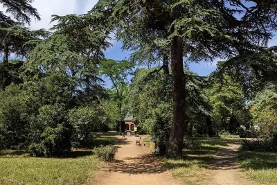 Actualité à Toulouse - Croix-Daurade : la route d'Albi devient une avenue-jardin